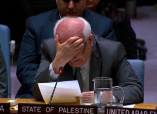 مندوب فلسطين باكيًا بجلسة مجلس الأمن الدولي