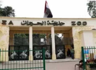 افتتاح حديقة الحيوان 2025.. الموعد وأسعار التذاكر بعد التطوير