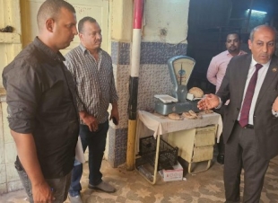 حملة تموينية مفاجئة بالأقصر تضبط سلعًا غذائية منتهية الصلاحية و9 مخالفات تموينية