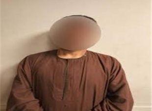 أمن القاهرة يضبط عاطلًا تحرش بطفلة أجنبية داخل حديقة عامة بمدينة نصر