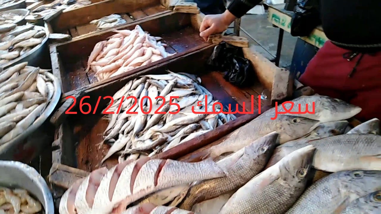 أسعار الأسماك والجمبري اليوم في سوق العبور 28-2-2025