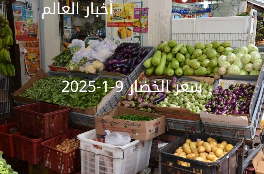 أسعار الخضار اليوم بالكيلو في سوق العبور الخميس 9-1-2025