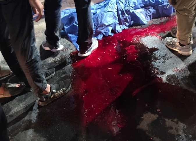 مصرع طفل ونفوق حصان في حادث تصادم دراجة بخارية مع عربة كارو ببورسعيد