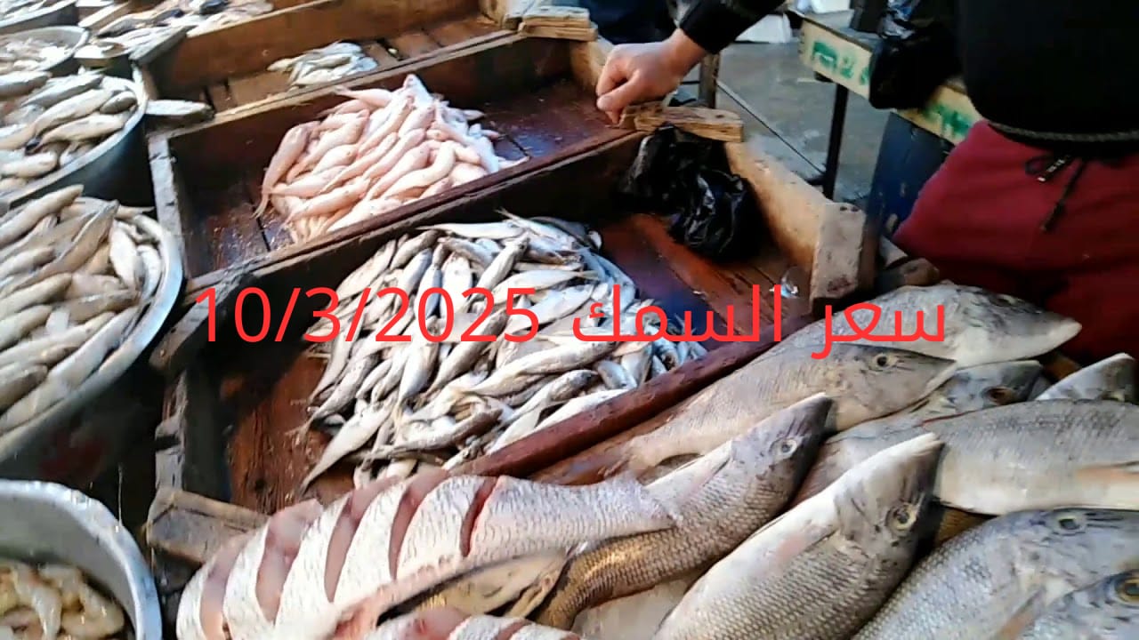 أسعار الأسماك والجمبري اليوم في سوق العبور 10-3-2025