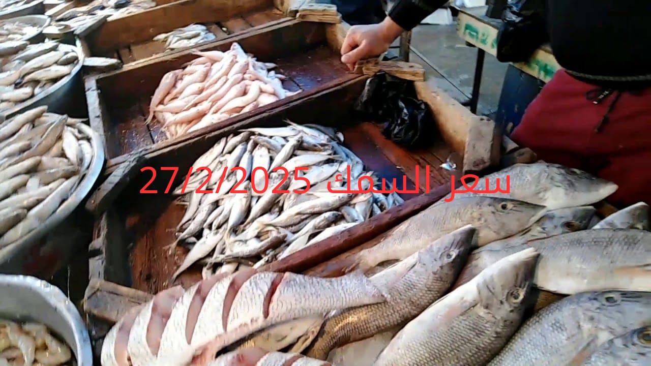 أسعار الأسماك والجمبري اليوم في سوق العبور 27-2-2025