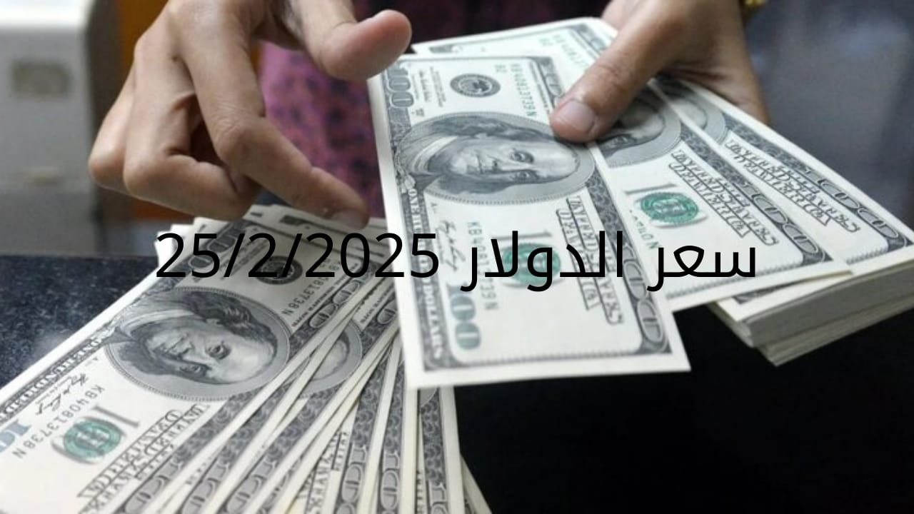 سعر الدولار والعملات في البنك المركزي وجميع البنوك المصرية 25-2-2025