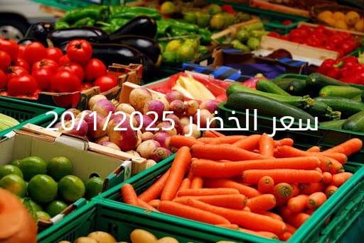 أسعار الخضار اليوم بالكيلو الاثنين 20-1-2025 في سوق العبور