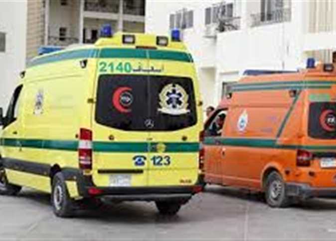 انقلبت به عربة كارو.. مصرع مواطن بمركز الداخلة في الوادي الجديد