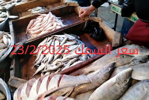 أسعار الأسماك والجمبري اليوم في سوق العبور 23-2-2025