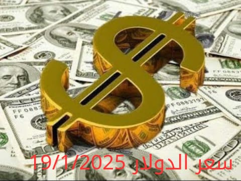 سعر الدولار والعملات في البنك المركزي وجميع البنوك المصرية 19-1-2025