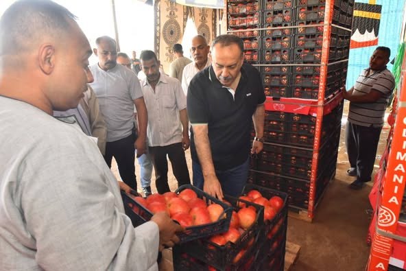 محافظ أسيوط يتابع منظومة تجهيز وتصدير 