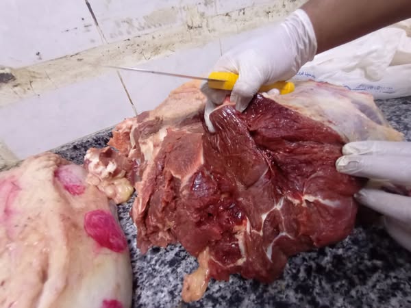 حملات تموينية مكثفة بأسيوط تضبط نصف طن لحوم غير صالحة وتحرر 484 محضرًا في الأسواق والمخابز