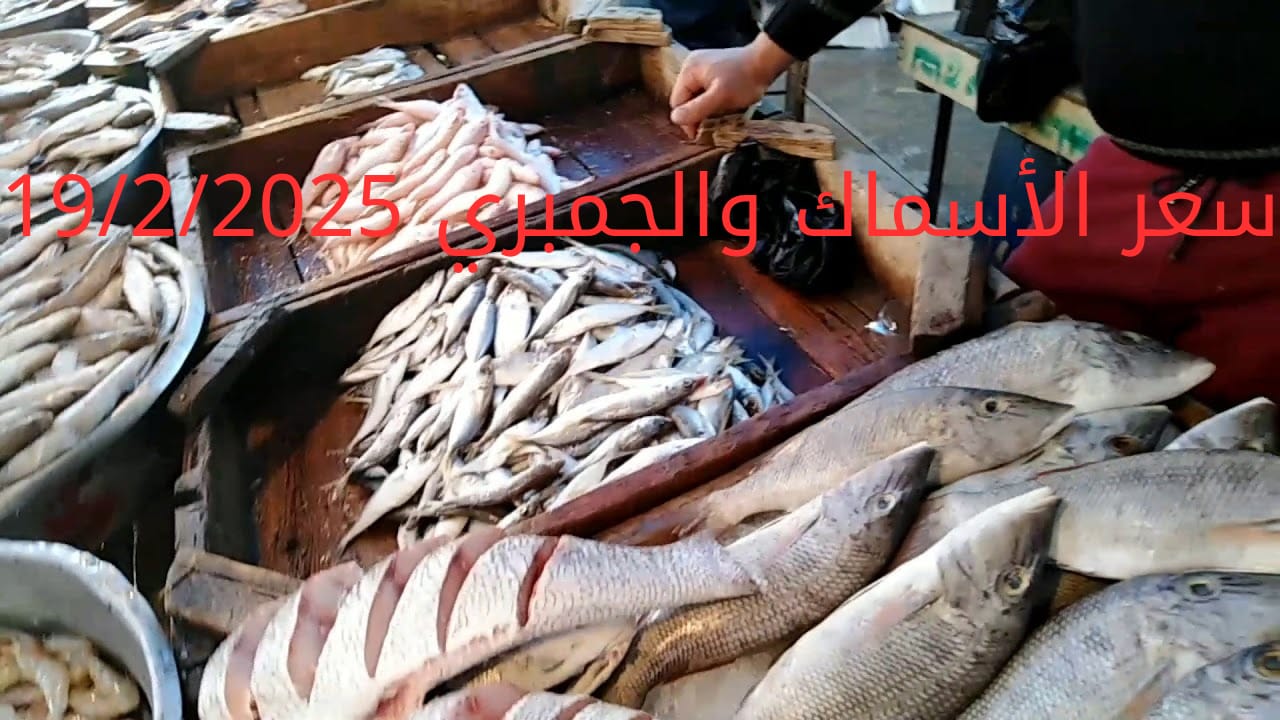 أسعار الأسماك والجمبري اليوم في سوق العبور 19-2-2025