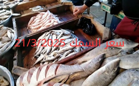 أسعار الأسماك والجمبري اليوم في سوق العبور 21-3-2025