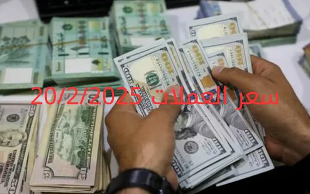 سعر الدولار والعملات في البنك المركزي وجميع البنوك المصرية 20-2-2025