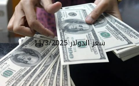 سعر الدولار والعملات في البنك المركزي وجميع البنوك المصرية 11-3-2025