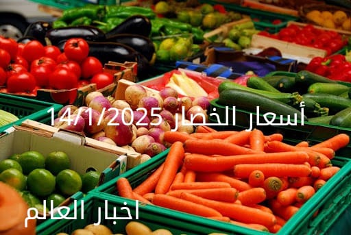 أسعار الخضار اليوم بالكيلو في سوق العبور الثلاثاء 14-1-2025