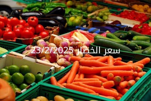 أسعار الخضار اليوم بالكيلو الأحد 23-2-2025 في سوق العبور