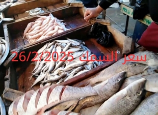 أسعار الأسماك والجمبري اليوم في سوق العبور 28-2-2025