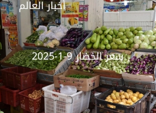 أسعار الخضار اليوم بالكيلو في سوق العبور الخميس 9-1-2025