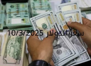 سعر الدولار والعملات في البنك المركزي وجميع البنوك المصرية 10-3-2025