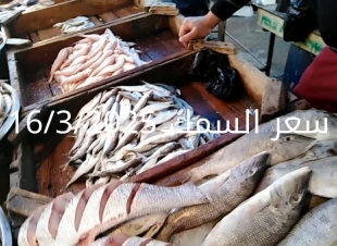 أسعار السمك والمأكولات البحرية  الأحد 16-3-2025