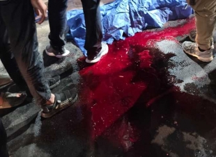 مصرع طفل ونفوق حصان في حادث تصادم دراجة بخارية مع عربة كارو ببورسعيد