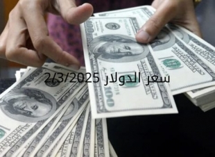 سعر الدولار والعملات في البنك المركزي وجميع البنوك المصرية 2-3-2025