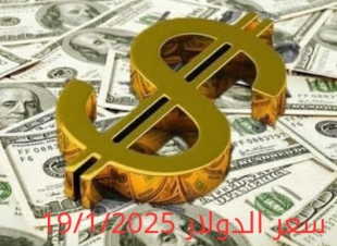 سعر الدولار والعملات في البنك المركزي وجميع البنوك المصرية 19-1-2025