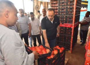 محافظ أسيوط يتابع منظومة تجهيز وتصدير 