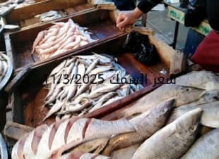 أسعار السمك والمأكولات البحرية  الثلاثاء 11-3-2025