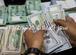 سعر الدولار والعملات في البنك المركزي وجميع البنوك المصرية 19-2-2025