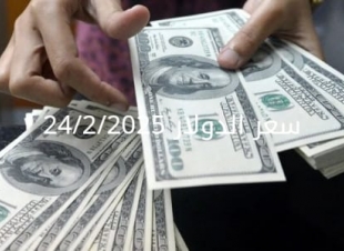 سعر الدولار والعملات في البنك المركزي وجميع البنوك المصرية 24-2-2025