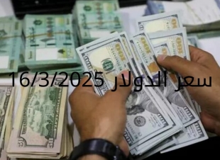 سعر الدولار والعملات في البنك المركزي وجميع البنوك المصرية 16-3-2025