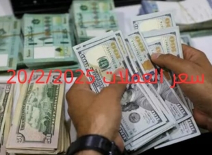 سعر الدولار والعملات في البنك المركزي وجميع البنوك المصرية 20-2-2025