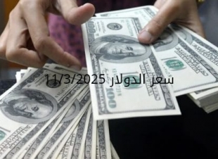 سعر الدولار والعملات في البنك المركزي وجميع البنوك المصرية 11-3-2025