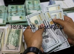 سعر الدولار والعملات في البنك المركزي وجميع البنوك المصرية 18-3-2025