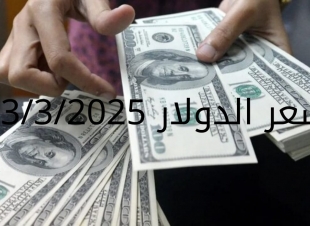 سعر الدولار والعملات في البنك المركزي وجميع البنوك المصرية 13-3-2025