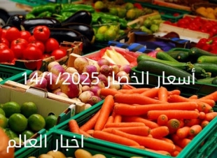 أسعار الخضار اليوم بالكيلو في سوق العبور الثلاثاء 14-1-2025